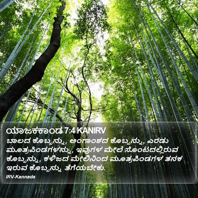 ಯಾಜಕಕಾಂಡ 7:4 KANIRV Bible Verse Image