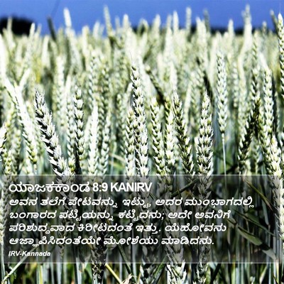 ಯಾಜಕಕಾಂಡ 8:9 KANIRV Bible Verse Image
