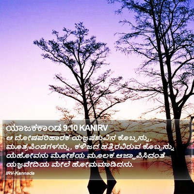 ಯಾಜಕಕಾಂಡ 9:10 KANIRV Bible Verse Image