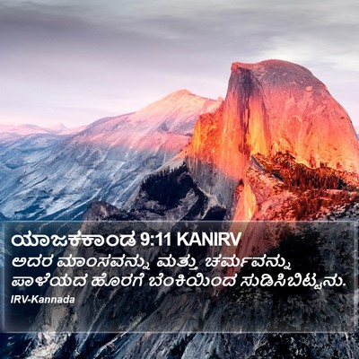 ಯಾಜಕಕಾಂಡ 9:11 KANIRV Bible Verse Image