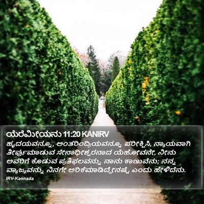 ಯೆರೆಮೀಯನು 11:20 KANIRV Bible Verse Image
