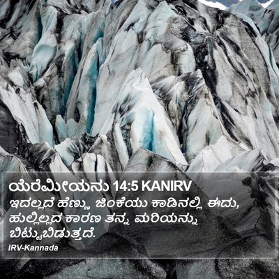 ಯೆರೆಮೀಯನು 14:5 KANIRV Bible Verse Image