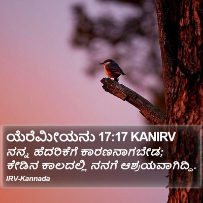 ಯೆರೆಮೀಯನು 17:17 KANIRV Bible Verse Image
