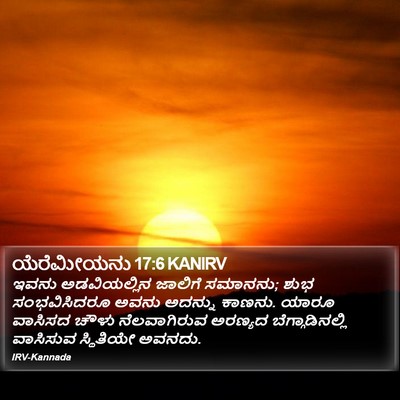 ಯೆರೆಮೀಯನು 17:6 KANIRV Bible Verse Image
