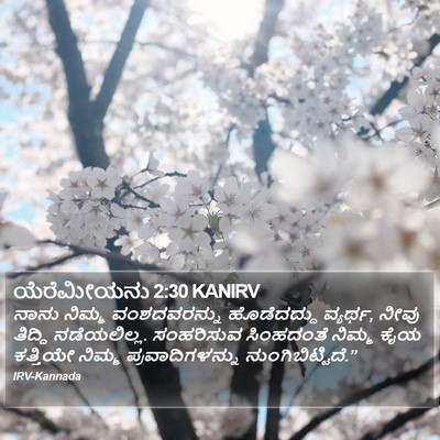ಯೆರೆಮೀಯನು 2:30 KANIRV Bible Verse Image