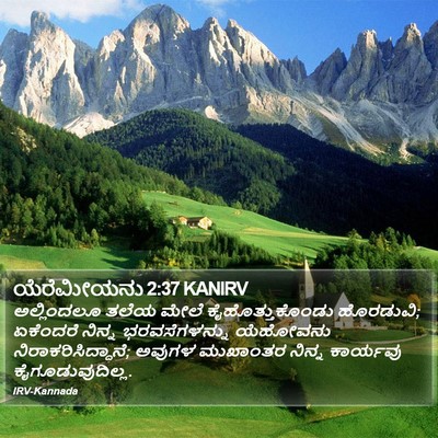 ಯೆರೆಮೀಯನು 2:37 KANIRV Bible Verse Image