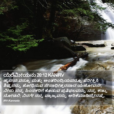ಯೆರೆಮೀಯನು 20:12 KANIRV Bible Verse Image