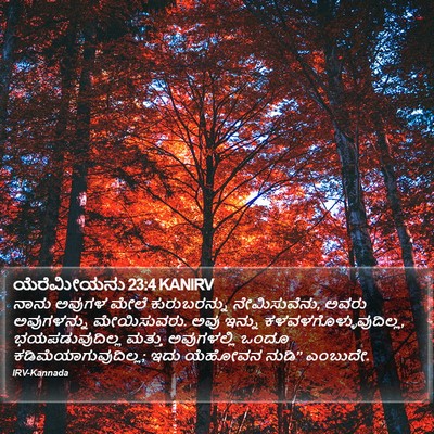 ಯೆರೆಮೀಯನು 23:4 KANIRV Bible Verse Image