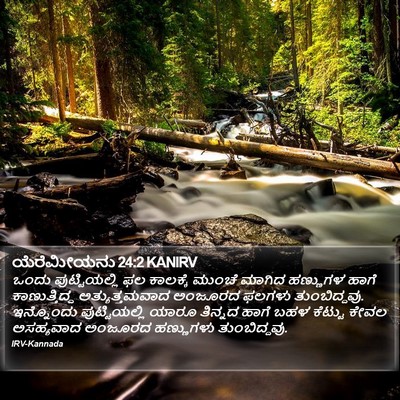 ಯೆರೆಮೀಯನು 24:2 KANIRV Bible Verse Image