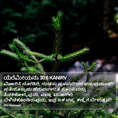 ಯೆರೆಮೀಯನು 30:6 KANIRV Bible Verse Image