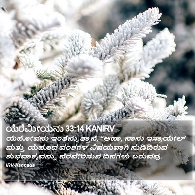 ಯೆರೆಮೀಯನು 33:14 KANIRV Bible Verse Image