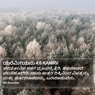 ಯೆರೆಮೀಯನು 4:6 KANIRV Bible Verse Image
