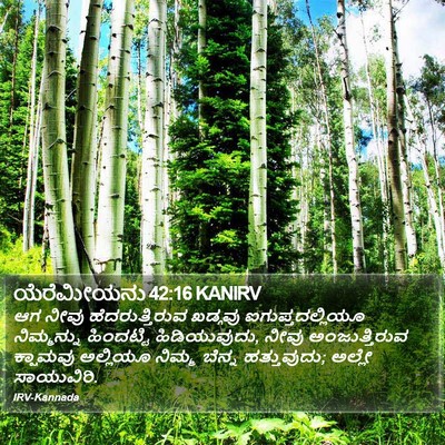 ಯೆರೆಮೀಯನು 42:16 KANIRV Bible Verse Image