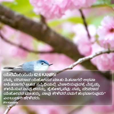 ಯೆರೆಮೀಯನು 42:6 KANIRV Bible Verse Image