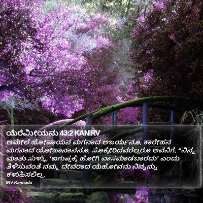 ಯೆರೆಮೀಯನು 43:2 KANIRV Bible Verse Image
