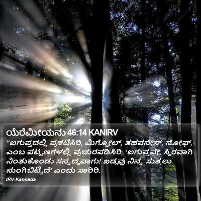 ಯೆರೆಮೀಯನು 46:14 KANIRV Bible Verse Image