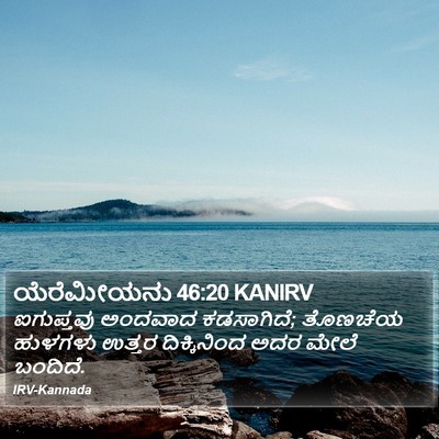 ಯೆರೆಮೀಯನು 46:20 KANIRV Bible Verse Image