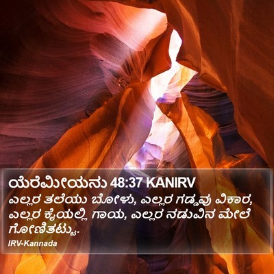 ಯೆರೆಮೀಯನು 48:37 KANIRV Bible Verse Image