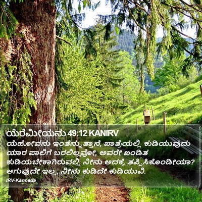 ಯೆರೆಮೀಯನು 49:12 KANIRV Bible Verse Image
