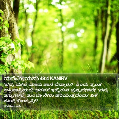 ಯೆರೆಮೀಯನು 49:4 KANIRV Bible Verse Image