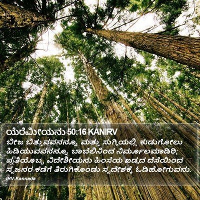 ಯೆರೆಮೀಯನು 50:16 KANIRV Bible Verse Image
