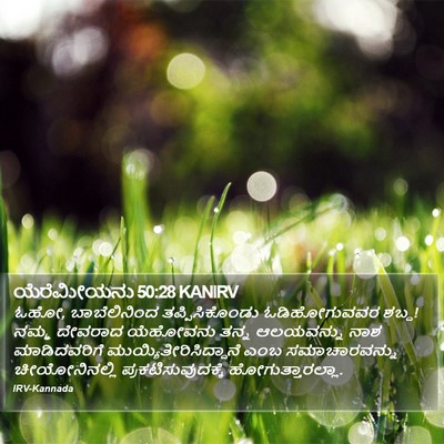 ಯೆರೆಮೀಯನು 50:28 KANIRV Bible Verse Image