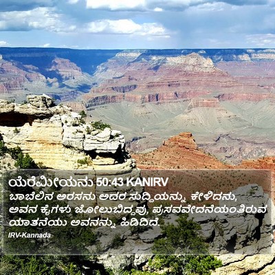 ಯೆರೆಮೀಯನು 50:43 KANIRV Bible Verse Image