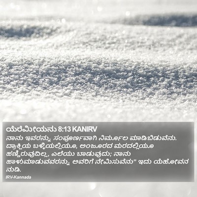 ಯೆರೆಮೀಯನು 8:13 KANIRV Bible Verse Image