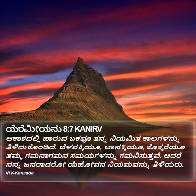 ಯೆರೆಮೀಯನು 8:7 KANIRV Bible Verse Image