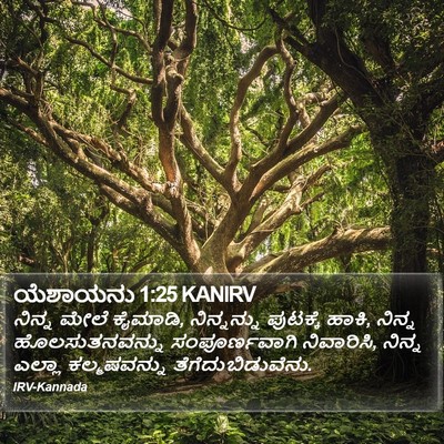 ಯೆಶಾಯನು 1:25 KANIRV Bible Verse Image