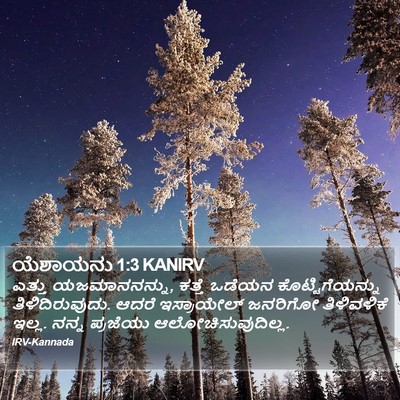 ಯೆಶಾಯನು 1:3 KANIRV Bible Verse Image