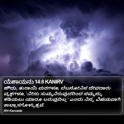 ಯೆಶಾಯನು 14:8 KANIRV Bible Verse Image