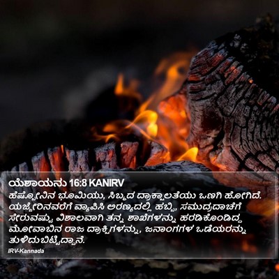 ಯೆಶಾಯನು 16:8 KANIRV Bible Verse Image
