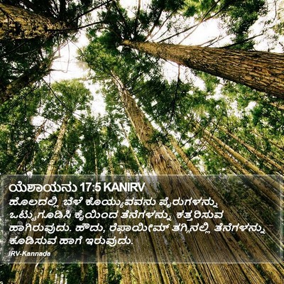 ಯೆಶಾಯನು 17:5 KANIRV Bible Verse Image