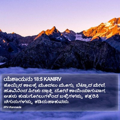 ಯೆಶಾಯನು 18:5 KANIRV Bible Verse Image