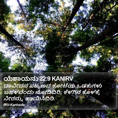 ಯೆಶಾಯನು 22:9 KANIRV Bible Verse Image
