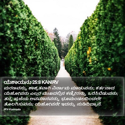 ಯೆಶಾಯನು 25:8 KANIRV Bible Verse Image