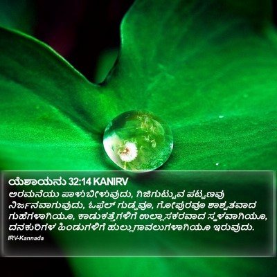 ಯೆಶಾಯನು 32:14 KANIRV Bible Verse Image