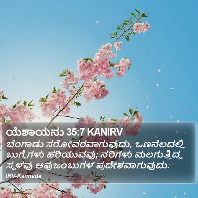 ಯೆಶಾಯನು 35:7 KANIRV Bible Verse Image
