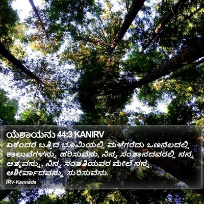 ಯೆಶಾಯನು 44:3 KANIRV Bible Verse Image
