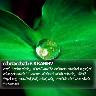 ಯೆಶಾಯನು 6:8 KANIRV Bible Verse Image