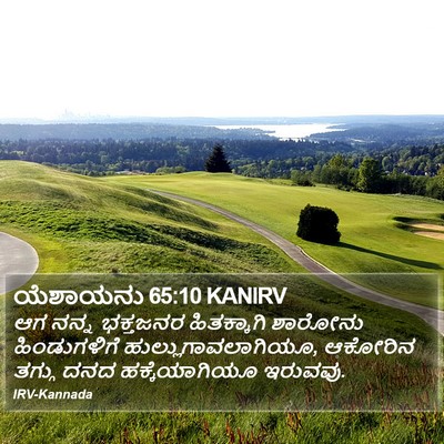 ಯೆಶಾಯನು 65:10 KANIRV Bible Verse Image