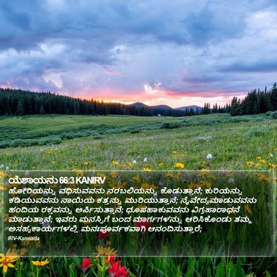 ಯೆಶಾಯನು 66:3 KANIRV Bible Verse Image