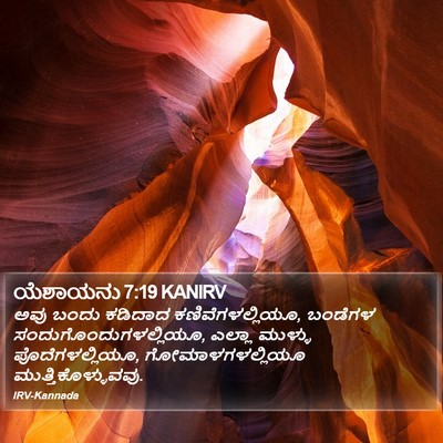 ಯೆಶಾಯನು 7:19 KANIRV Bible Verse Image