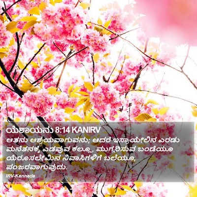 ಯೆಶಾಯನು 8:14 KANIRV Bible Verse Image