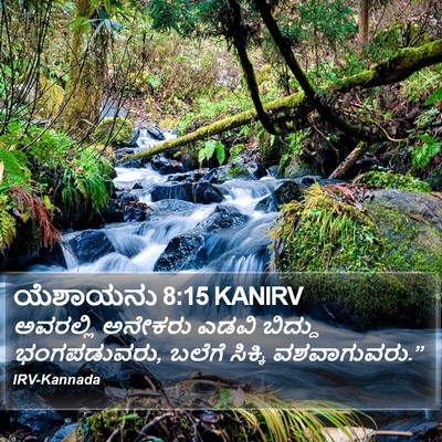 ಯೆಶಾಯನು 8:15 KANIRV Bible Verse Image
