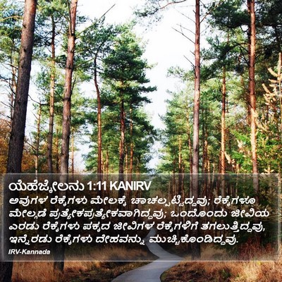 ಯೆಹೆಜ್ಕೇಲನು 1:11 KANIRV Bible Verse Image