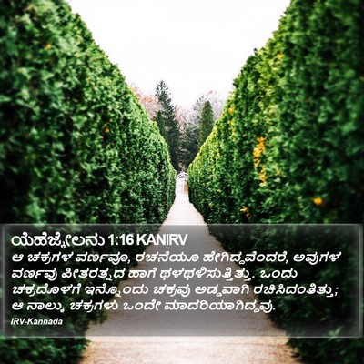 ಯೆಹೆಜ್ಕೇಲನು 1:16 KANIRV Bible Verse Image