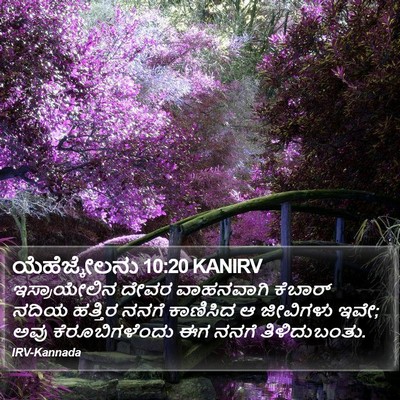 ಯೆಹೆಜ್ಕೇಲನು 10:20 KANIRV Bible Verse Image