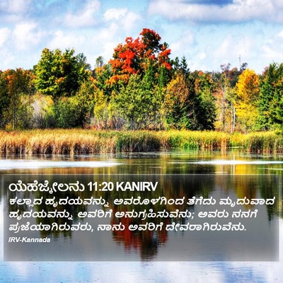 ಯೆಹೆಜ್ಕೇಲನು 11:20 KANIRV Bible Verse Image